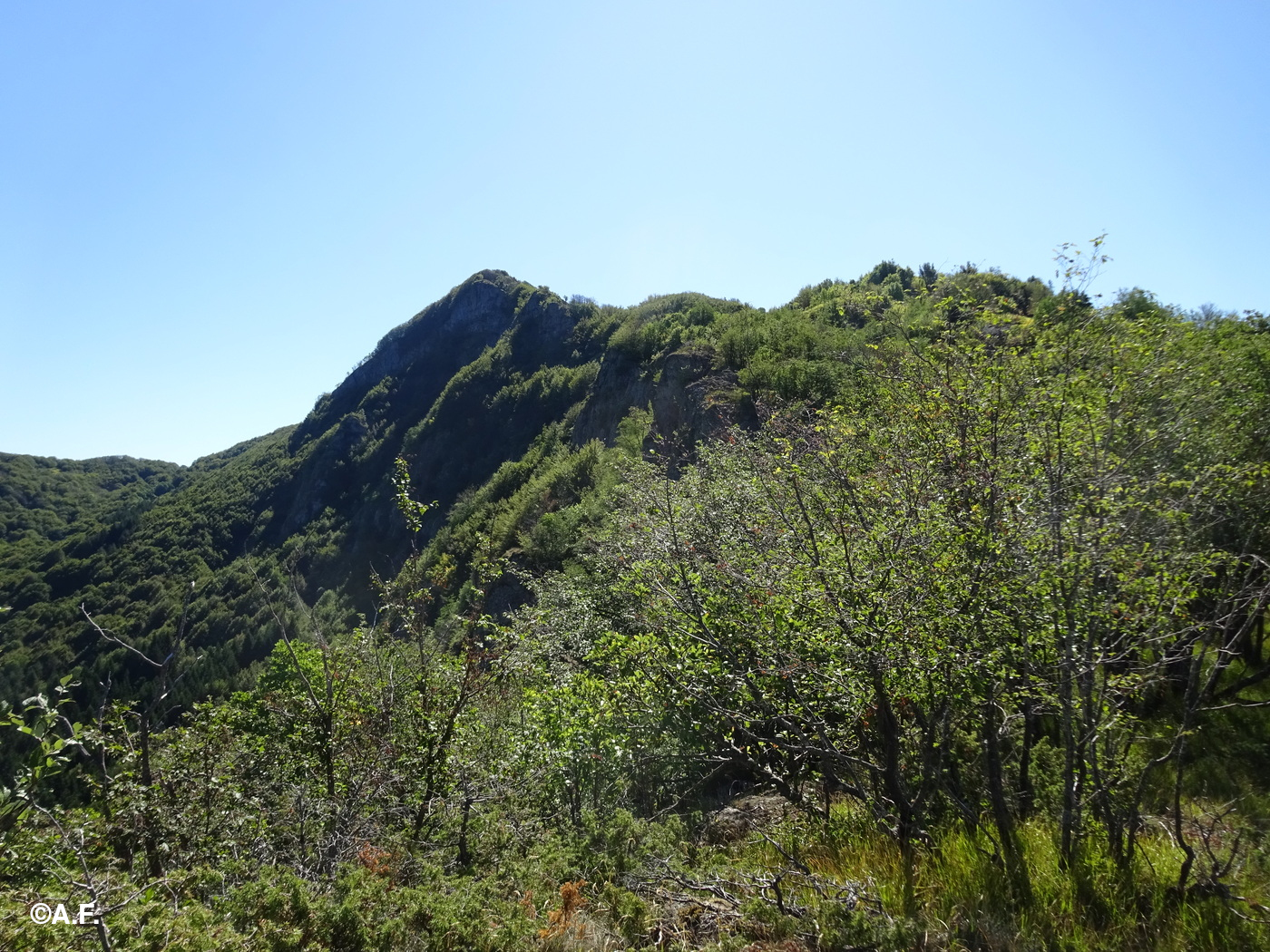 La cresta verso il Monte Castello del Fante