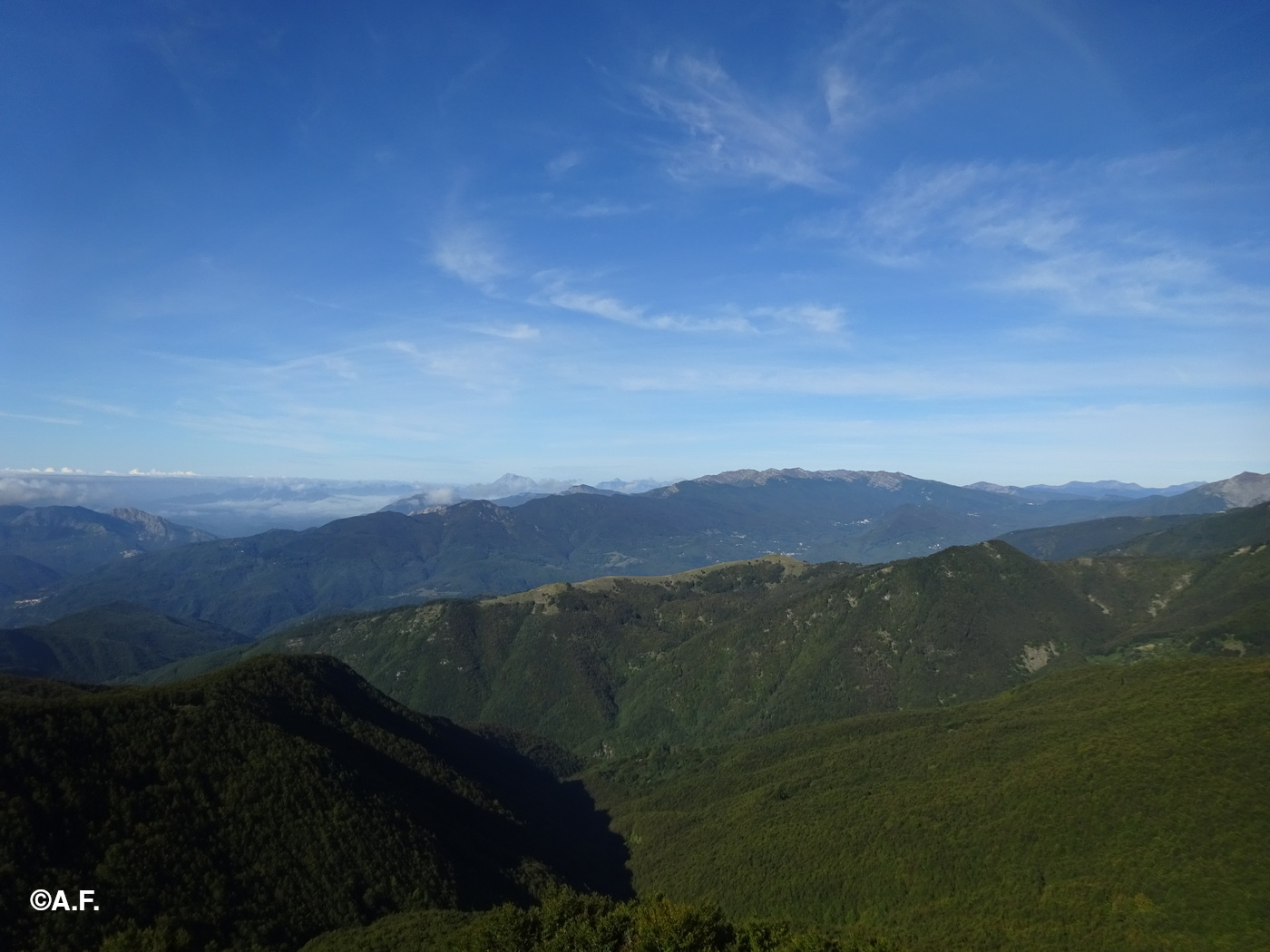 Panorama verso i boschi della Val di Lima