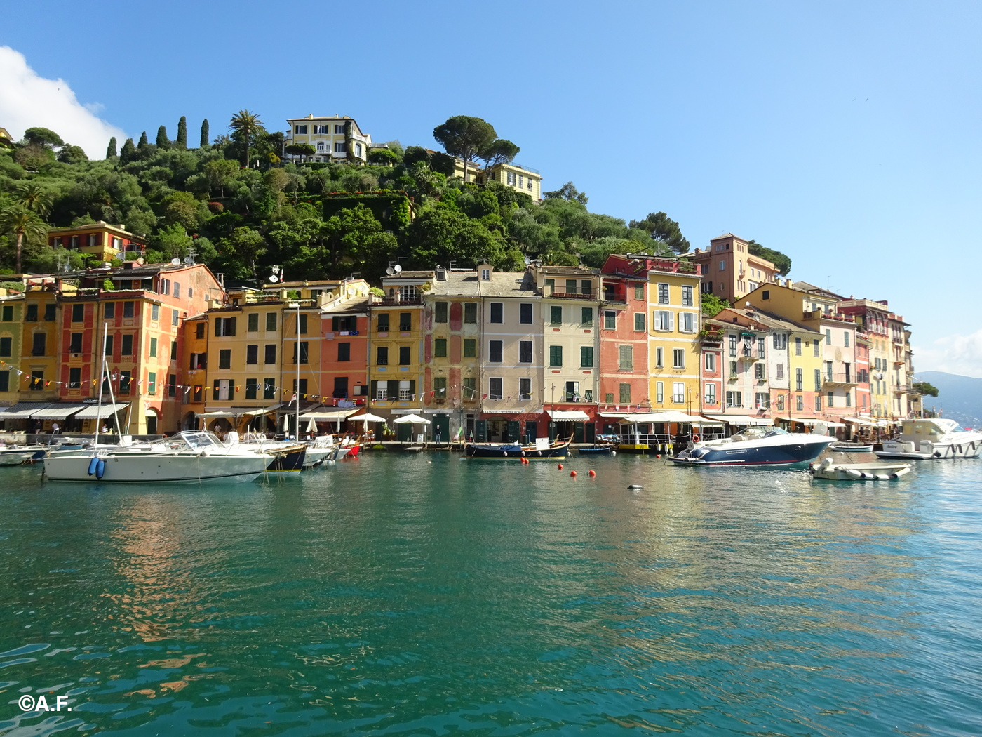 Le case di Portofino