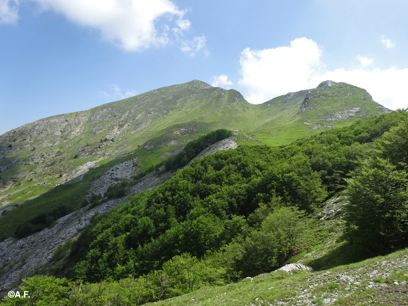 I monti Sagro e Spallone visti dai pressi del Monte Faggiola