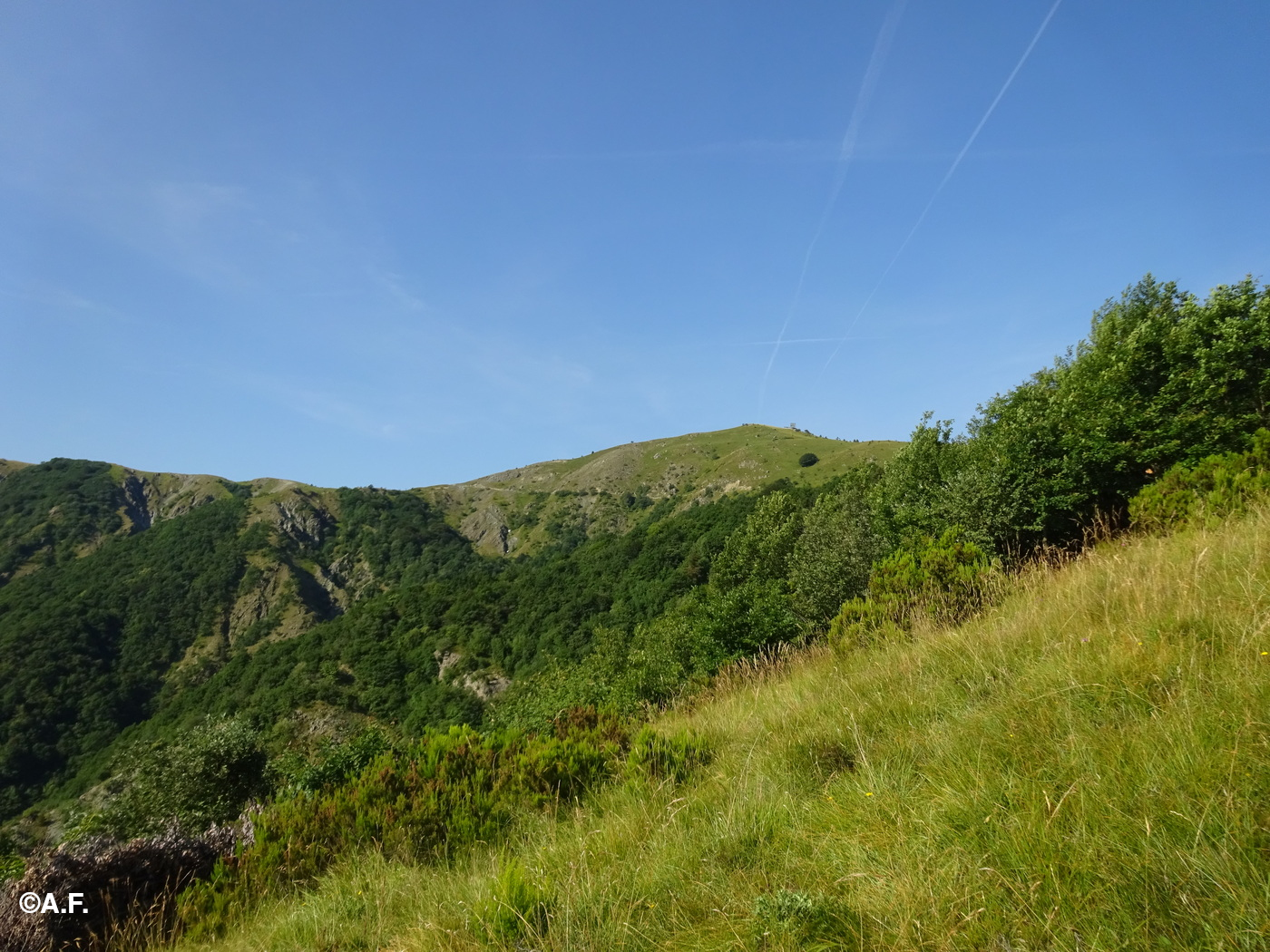 Vista sul Monte Sejeu