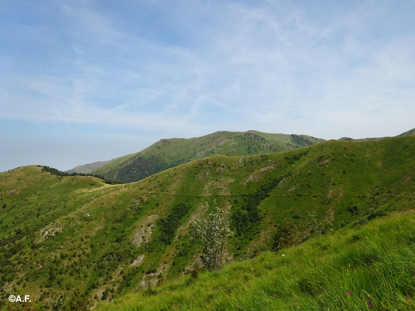 Il Monte delle Figne visto dai pressi del Bric di Guana