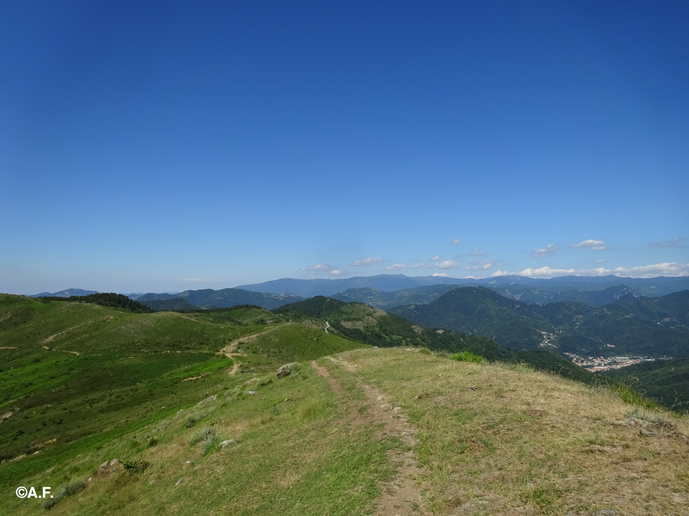 Panorama verso nord-est dal Monte Alpe