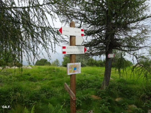 Monte Arpone dal Colle del Lys