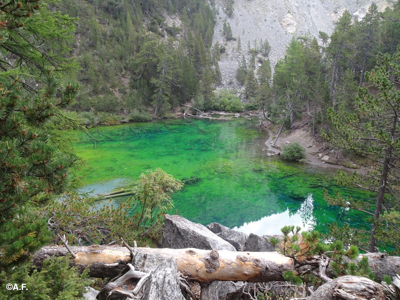 Scendendo al Lac Vert