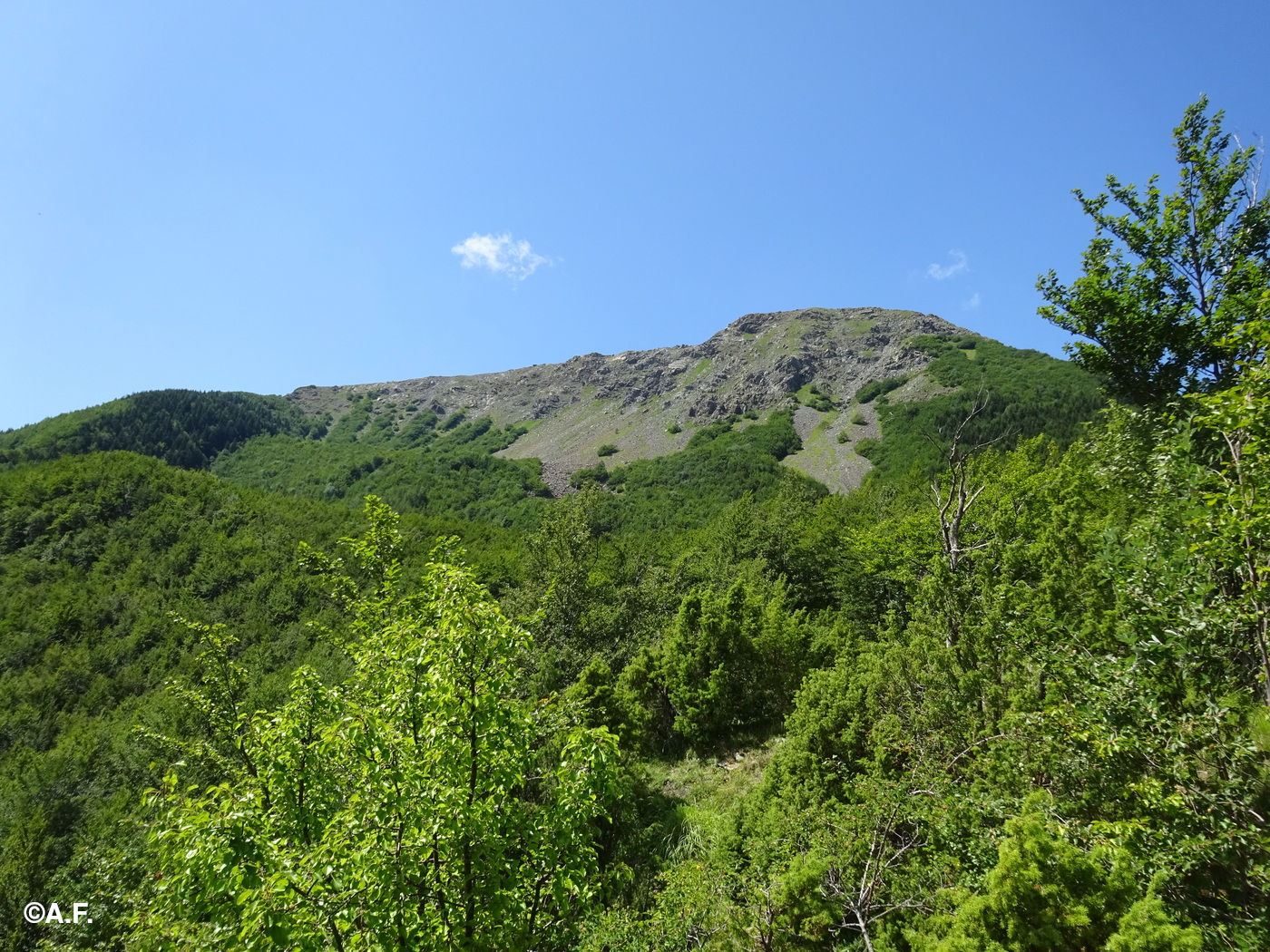 Il versante nord-ovest del Monte Aiona