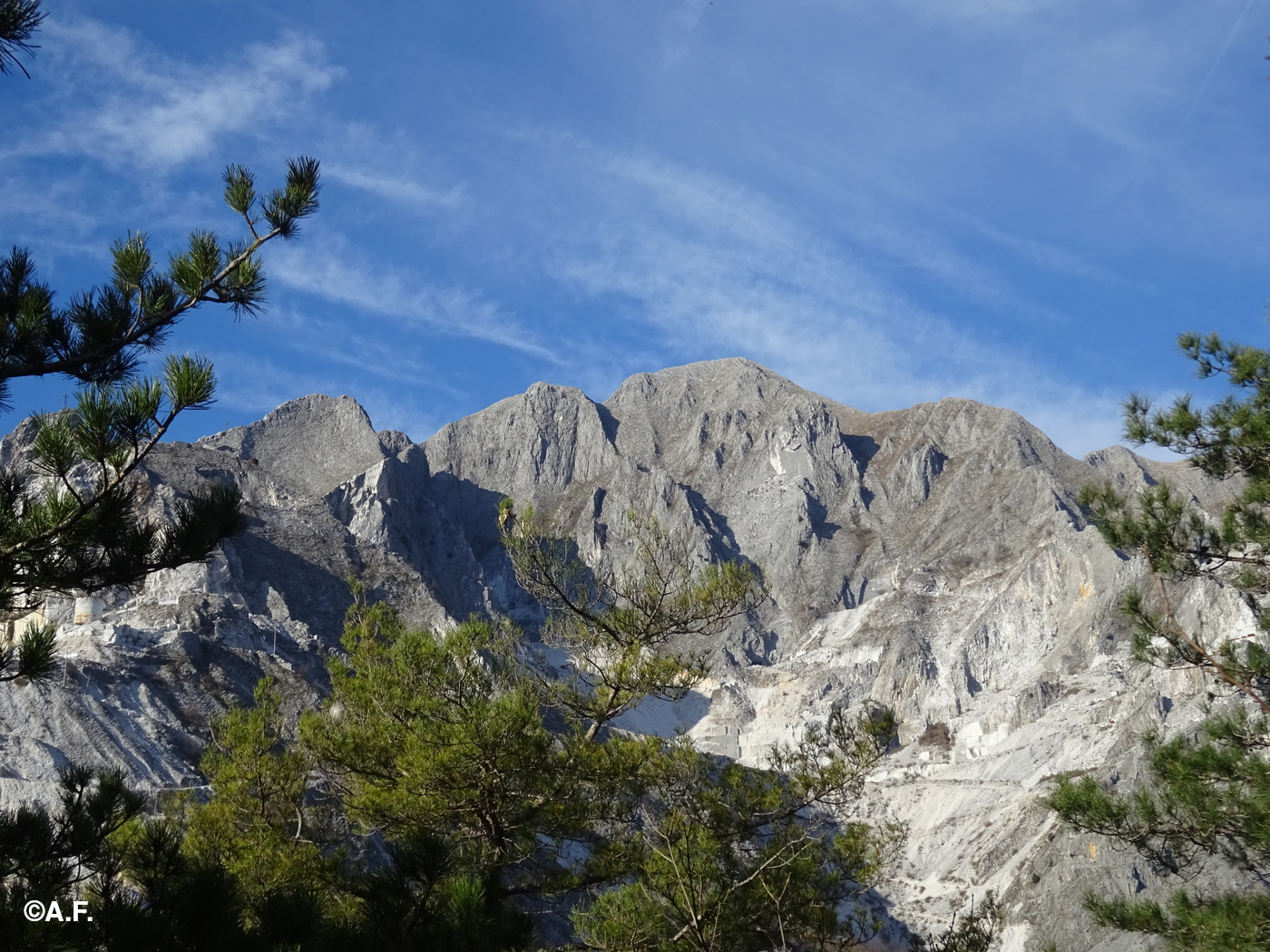 Il Monte Maggiore fa capolino tra i pini