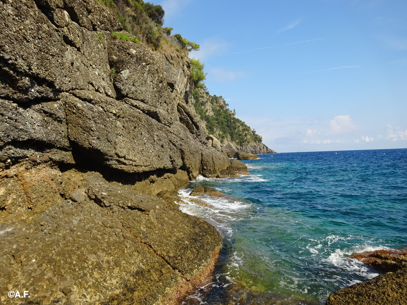 Scogliere di conglomerato; sullo sfondo Punta del Giasso