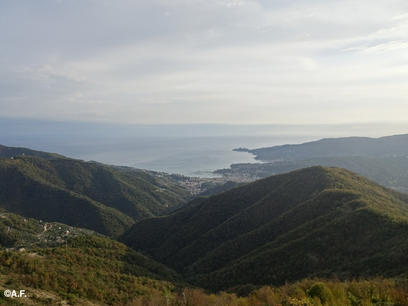 Panorama su Rapallo dalla vetta