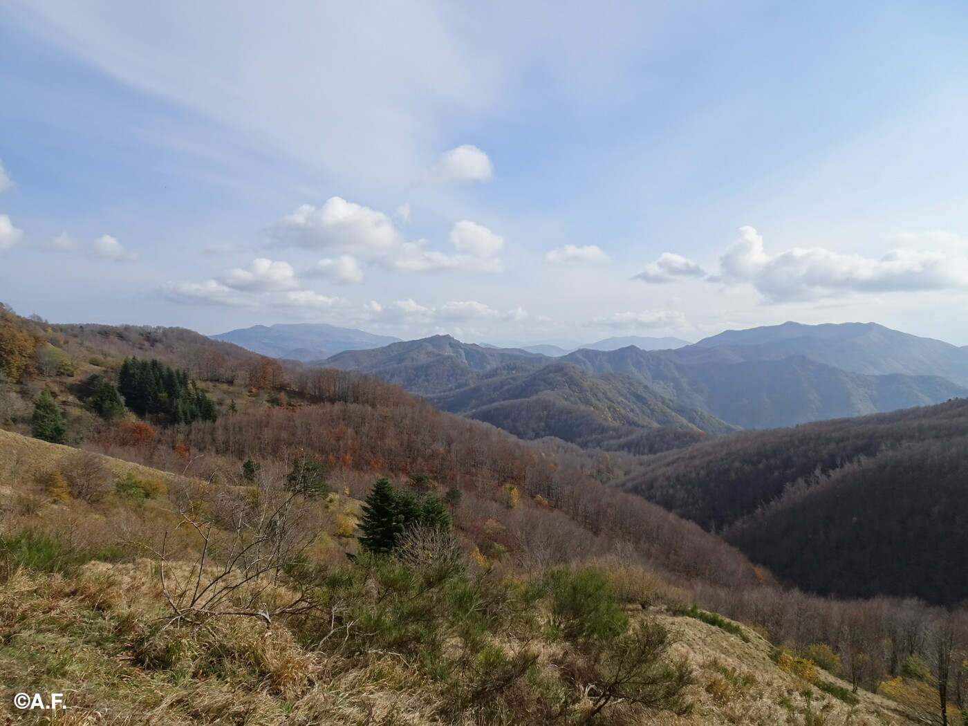 Panorama da Barbagelata verso est, con i monti Pagliaro e Ramaceto