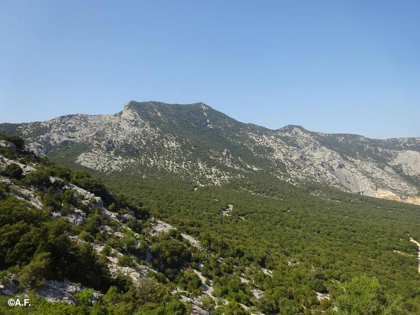 Il Monte Bàrdia visto dal Monte Bonacoa