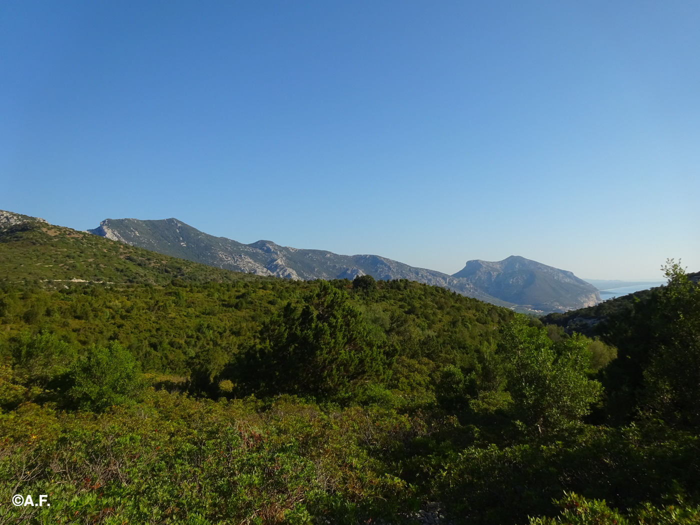 I monti Bàrdia e Irveri visti dalla piana di Toddeitto