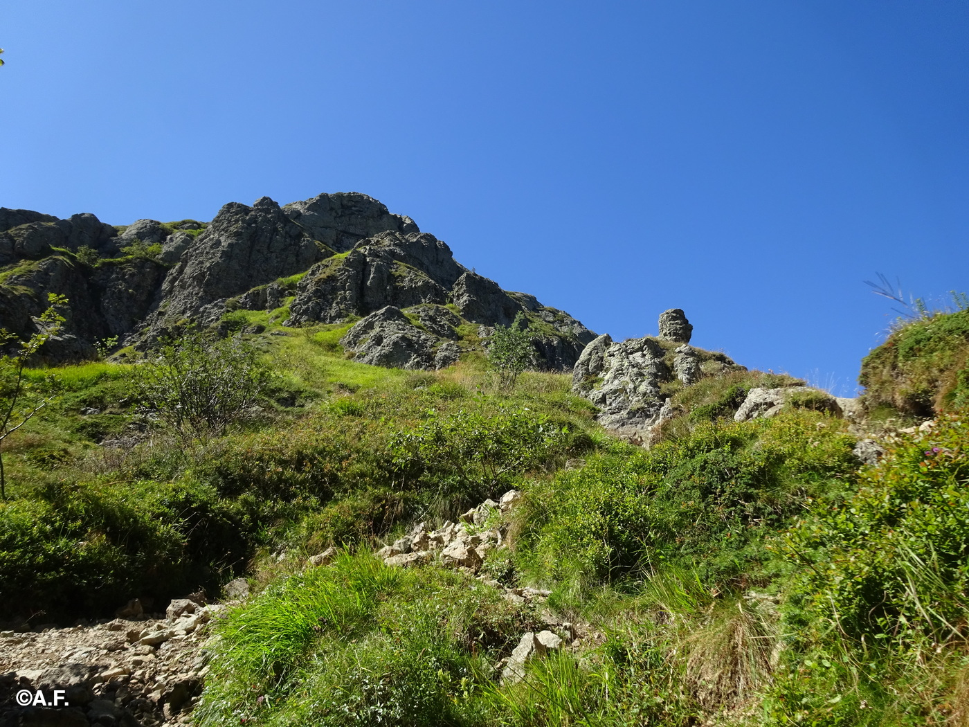 Quasi alla Forcella del Pennino