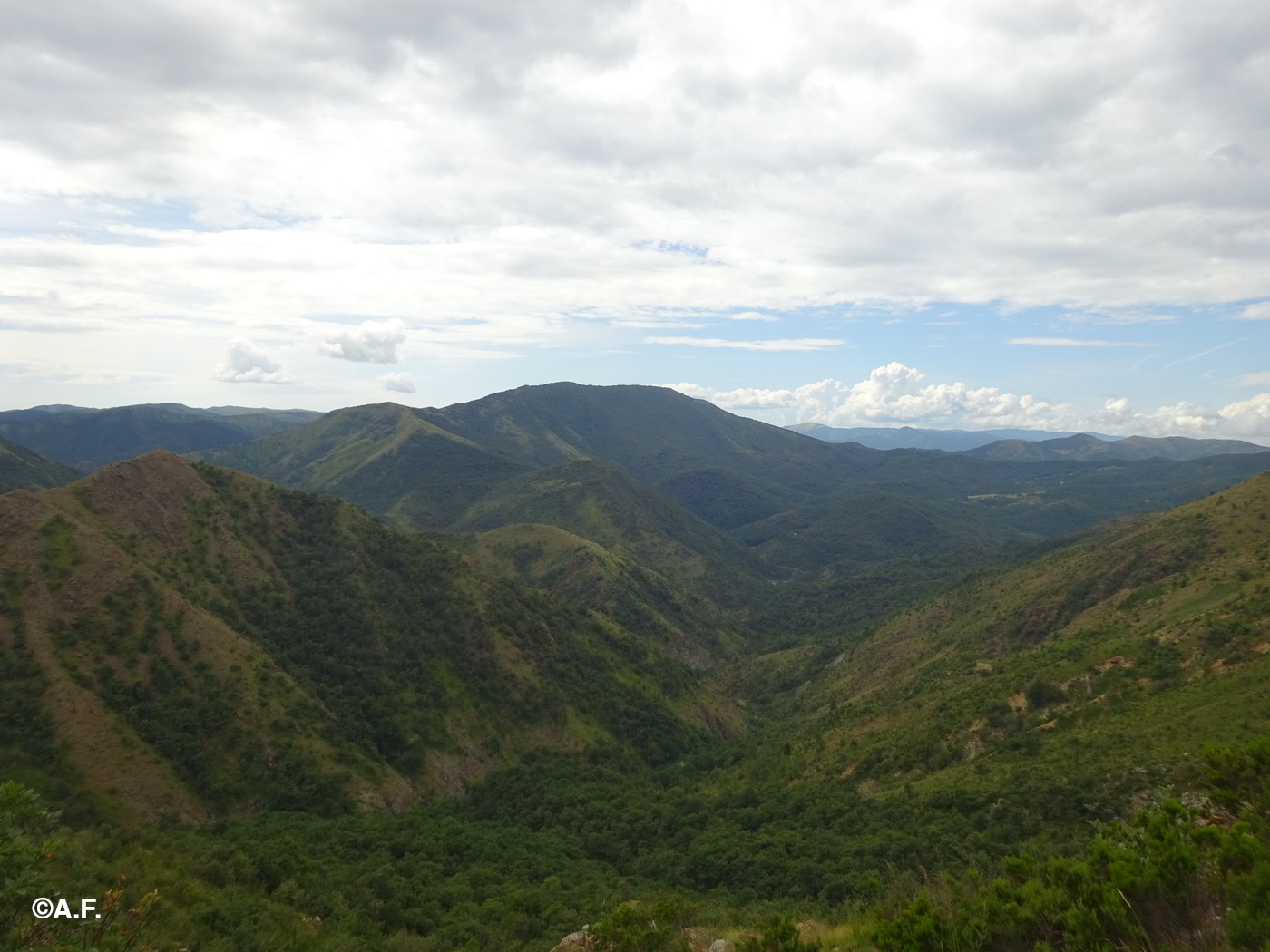 Panorama dal Passo della Dagliola sulla Val Gorzente e sulla Costa Lavezzara