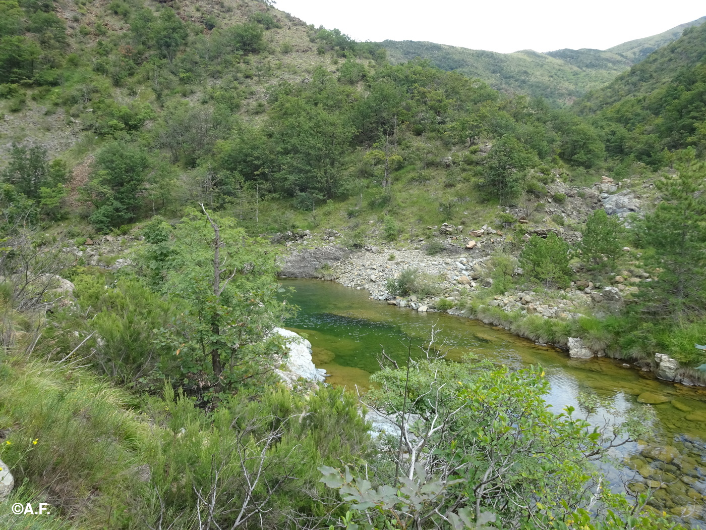 Le acque limpide del Torrente Gorzente