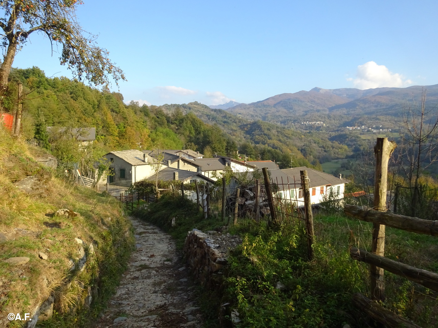 Ritorno a Èrtola; sullo sfondo i monti Penna e Aiona