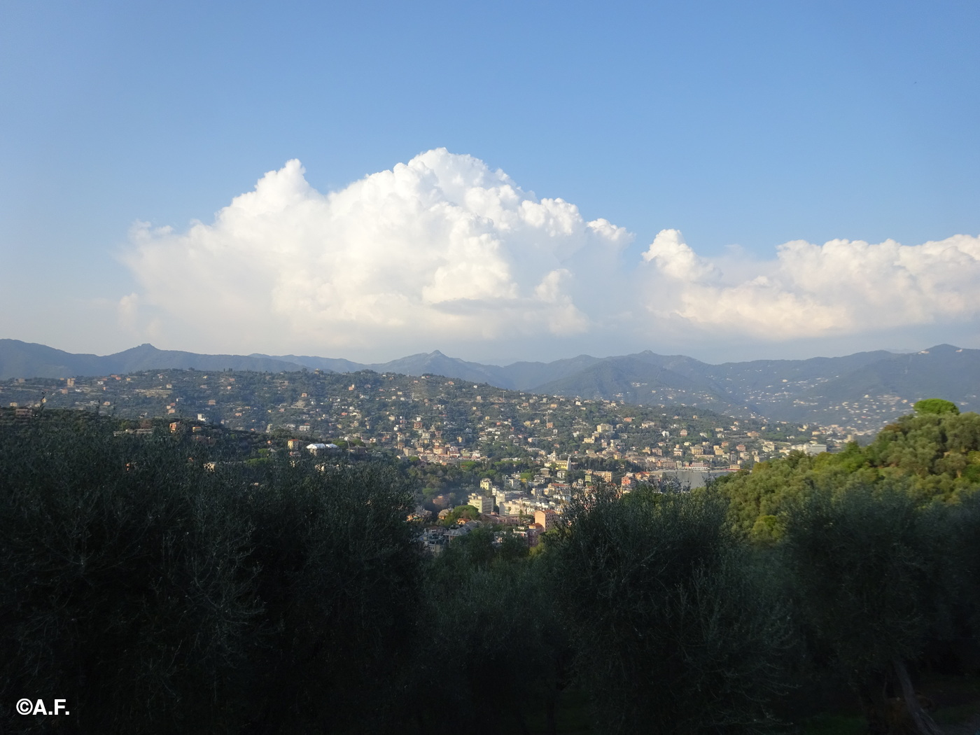 Panorama su Santa Margherita dalla Madonna della Neve; sullo sfondo al centro il Manico del Lume