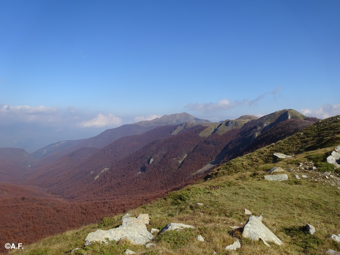 Panorama dai pressi del Passo di Belfiore; sullo sfondo il Monte Cavalbianco