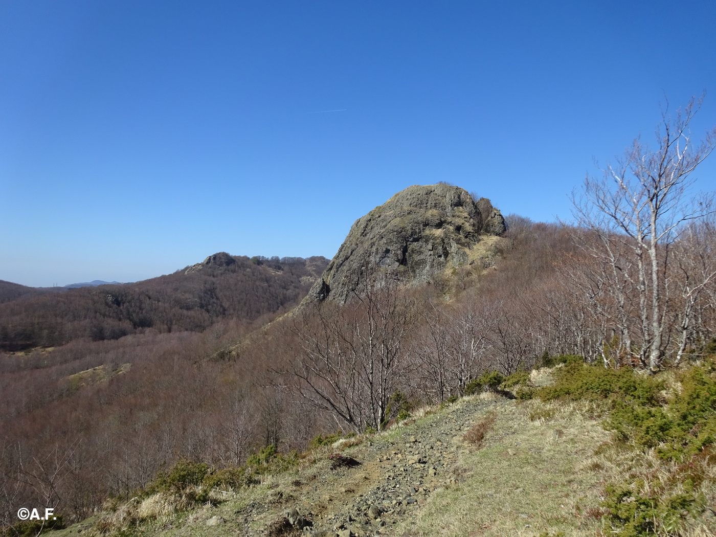 Il Monte Gifarco visto da nord-est