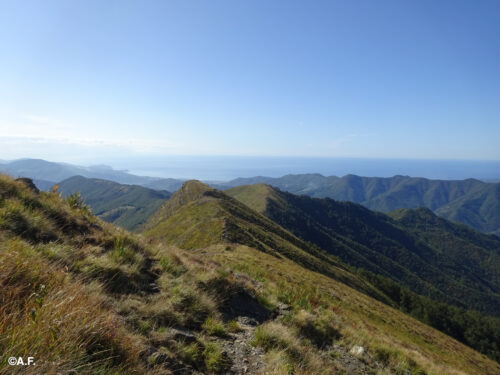 Da Costa di Soglio alla Cappelletta del Ramaceto