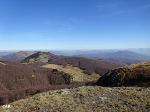Monte Bue da Selvola