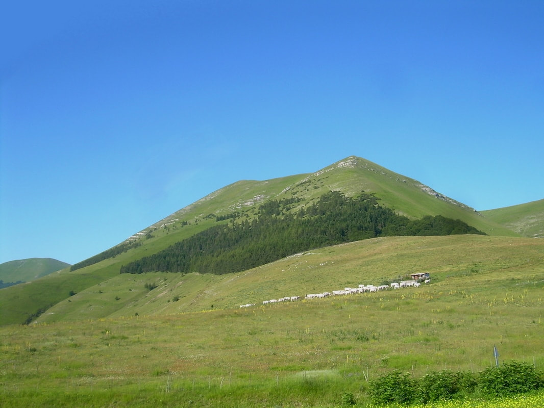 Il Monte Lieto visto dalla Forca di Gualdo