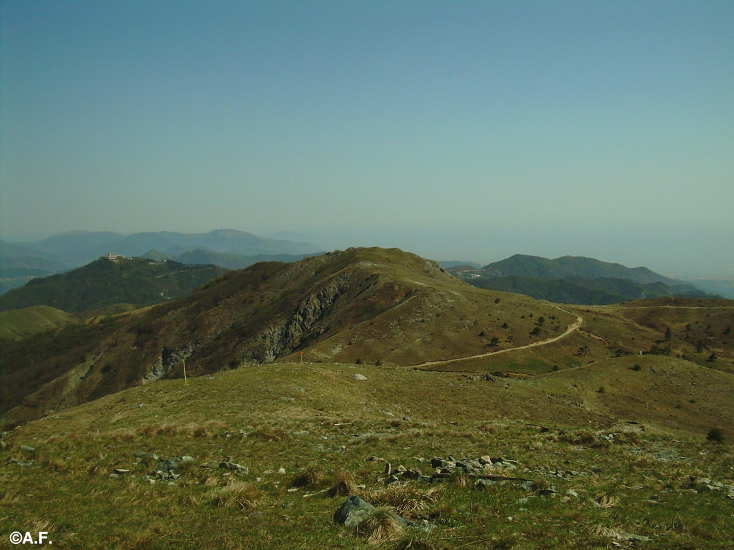 Panorama dal Monte Sejeu, con il Monte Proratado e la Madonna della Guardia