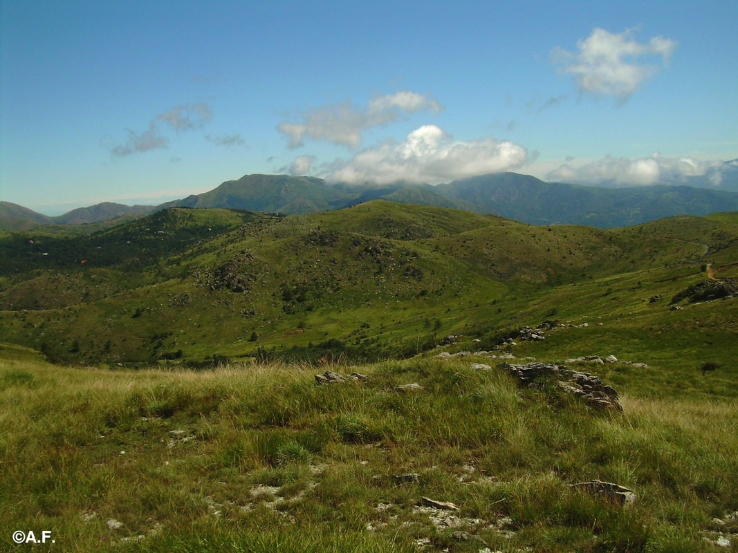 Panorama verso nord dal Monte Foscallo