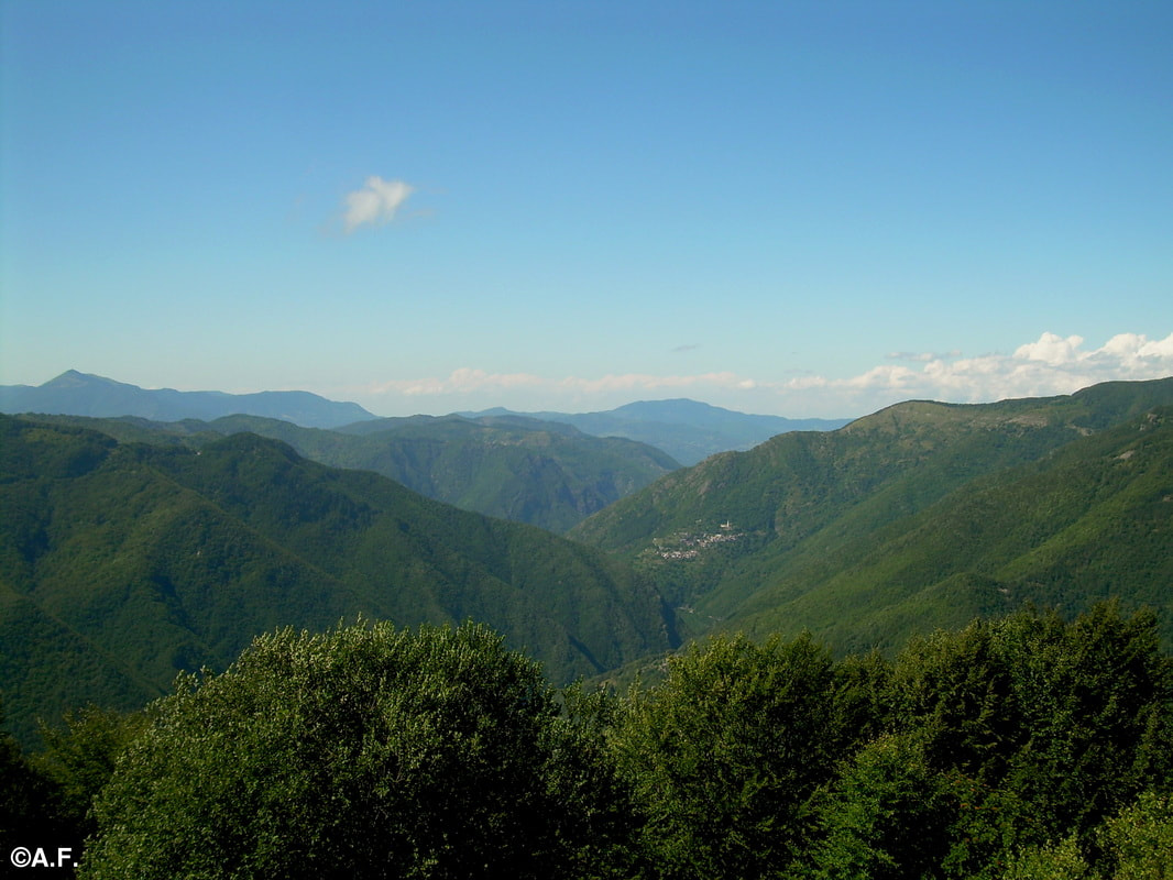La bassa Val d'Àveto dal Monte di Mezzo; sullo sfondo a sinistra il Monte Lésima
