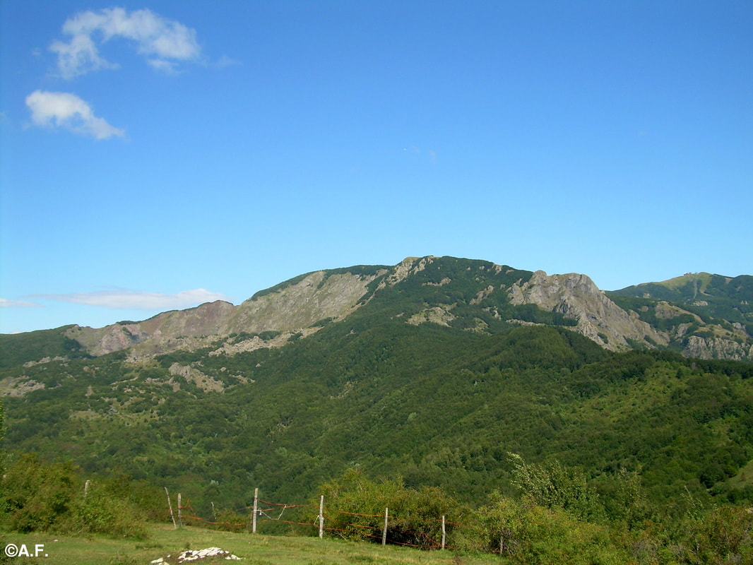 Il Monte Roncalla visto dal Monte di Mezzo