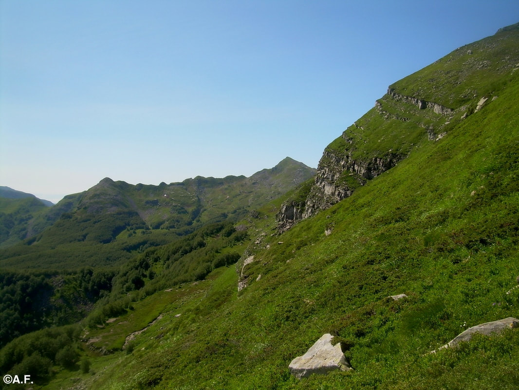Il Monte Rondinaio visto salendo al Monte Giovo