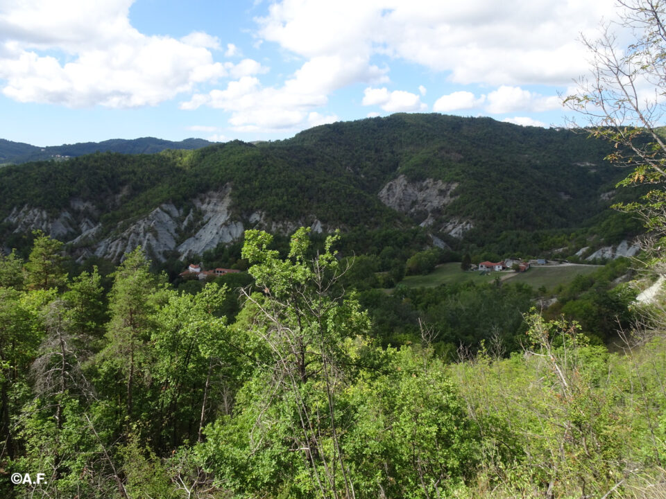 Panorama sul vallone del Rio Micheletto