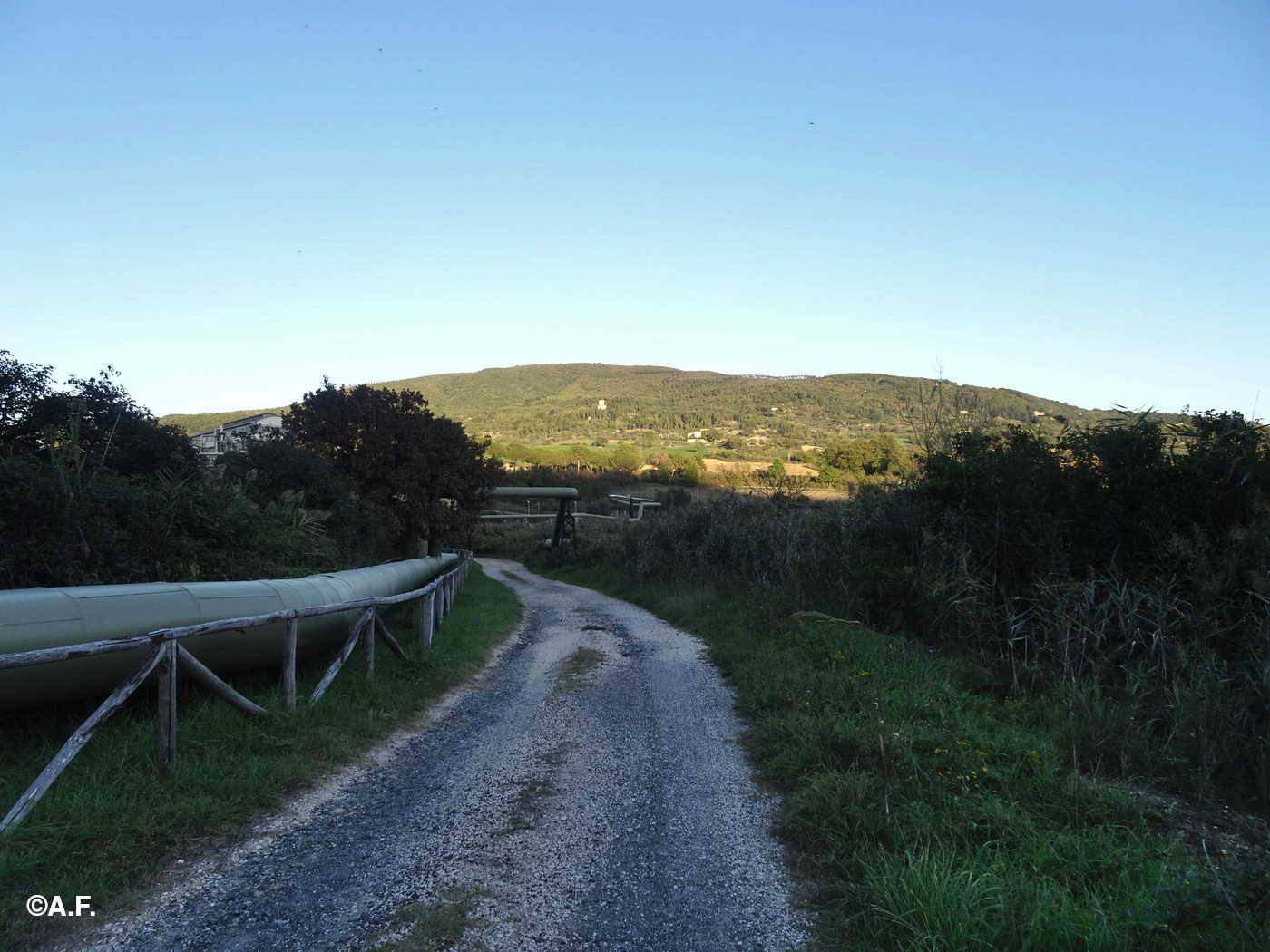 La strada che costeggia il Lago Boracifero