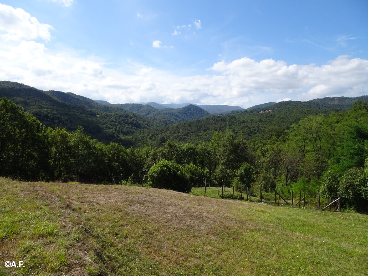 Scorcio dell'alta Valle Orba da Bertalin