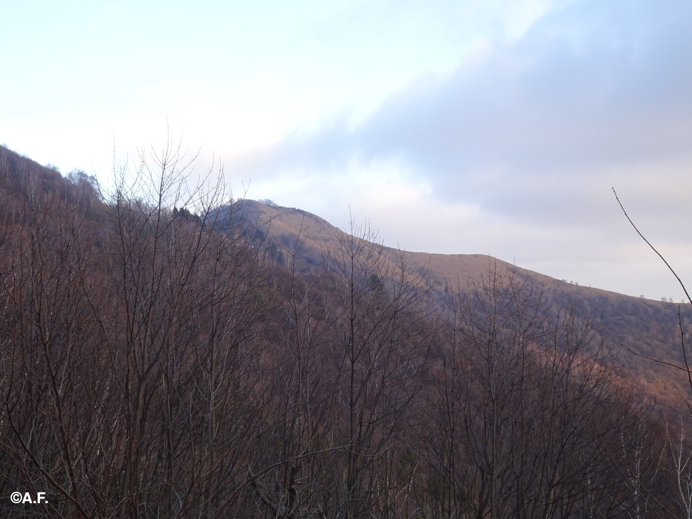 Il Monte Boletto visto da ovest