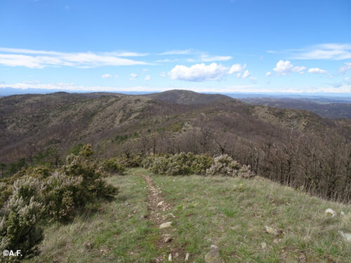 Anello del Poggio da Olbicella