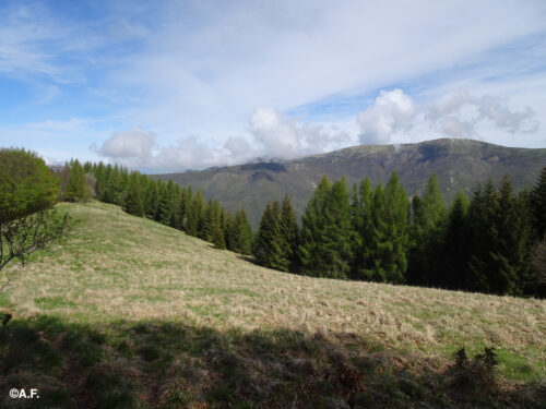 Monte Legnà da Daglio