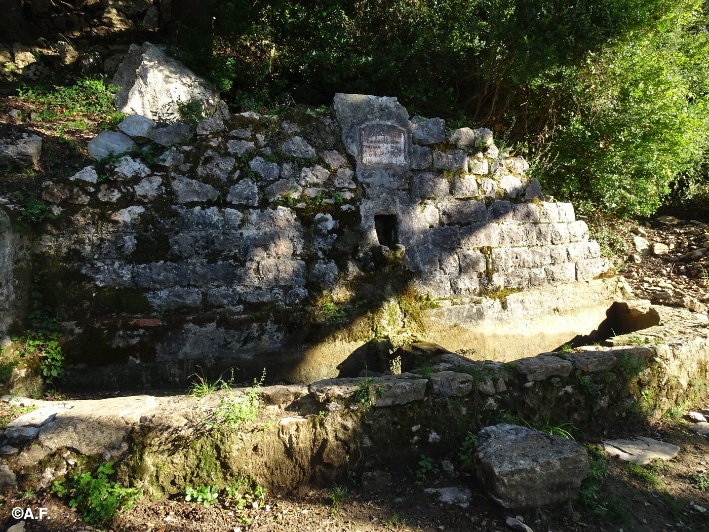 La Fontana del Lauro