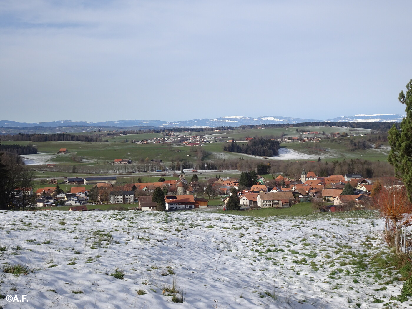 Panorama su Semsales, con il Plateau svizzero e il Giura innevato sullo sfondo