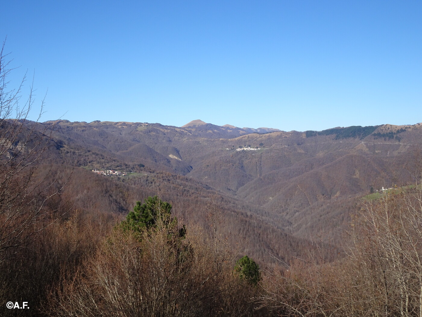 Panorama dal Monte Fracellana verso la valle del Cassingheno, con il Monte Carmo sullo sfondo