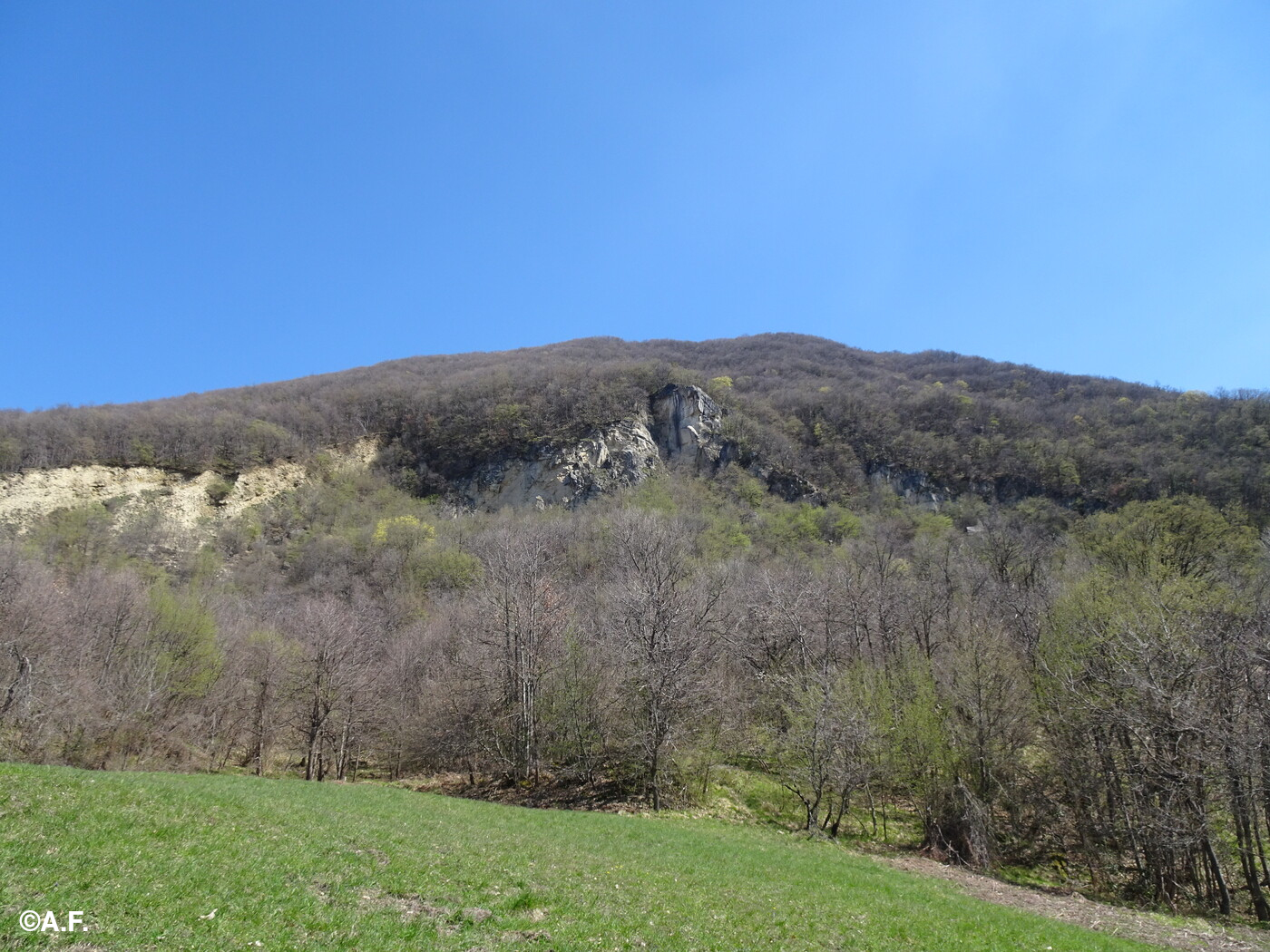 L'imponente versante sud-ovest del Monte Vigese