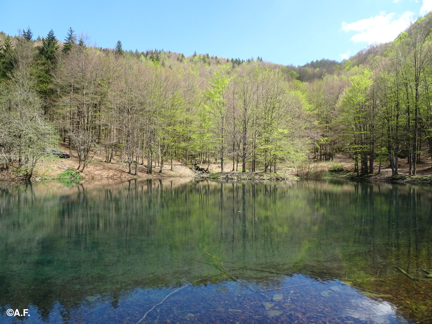 Il Laghetto del Cavone