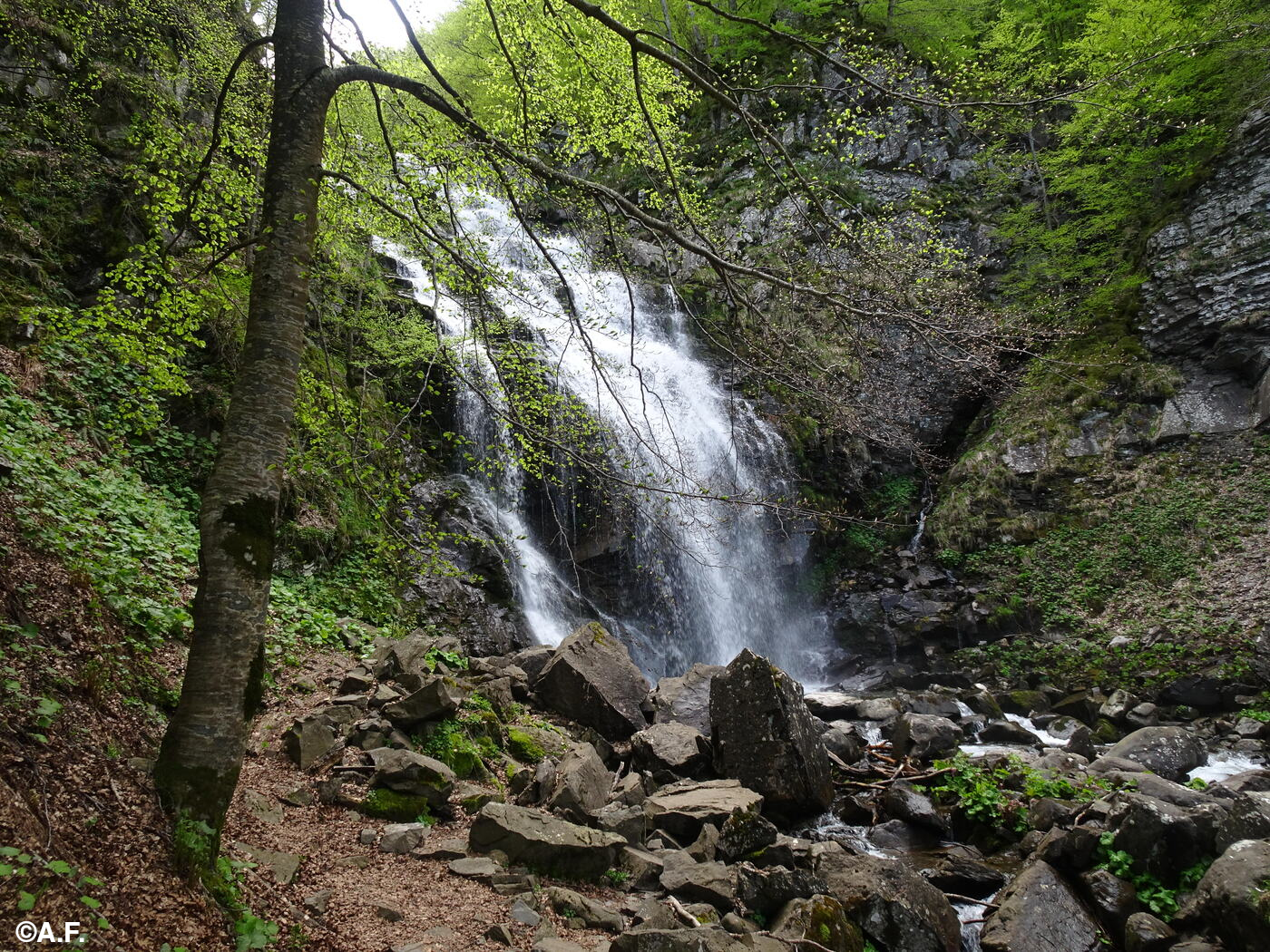 Il salto più a monte delle Cascate del Dardagna