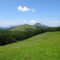 Monte Sillano dal Passo di Pradarena