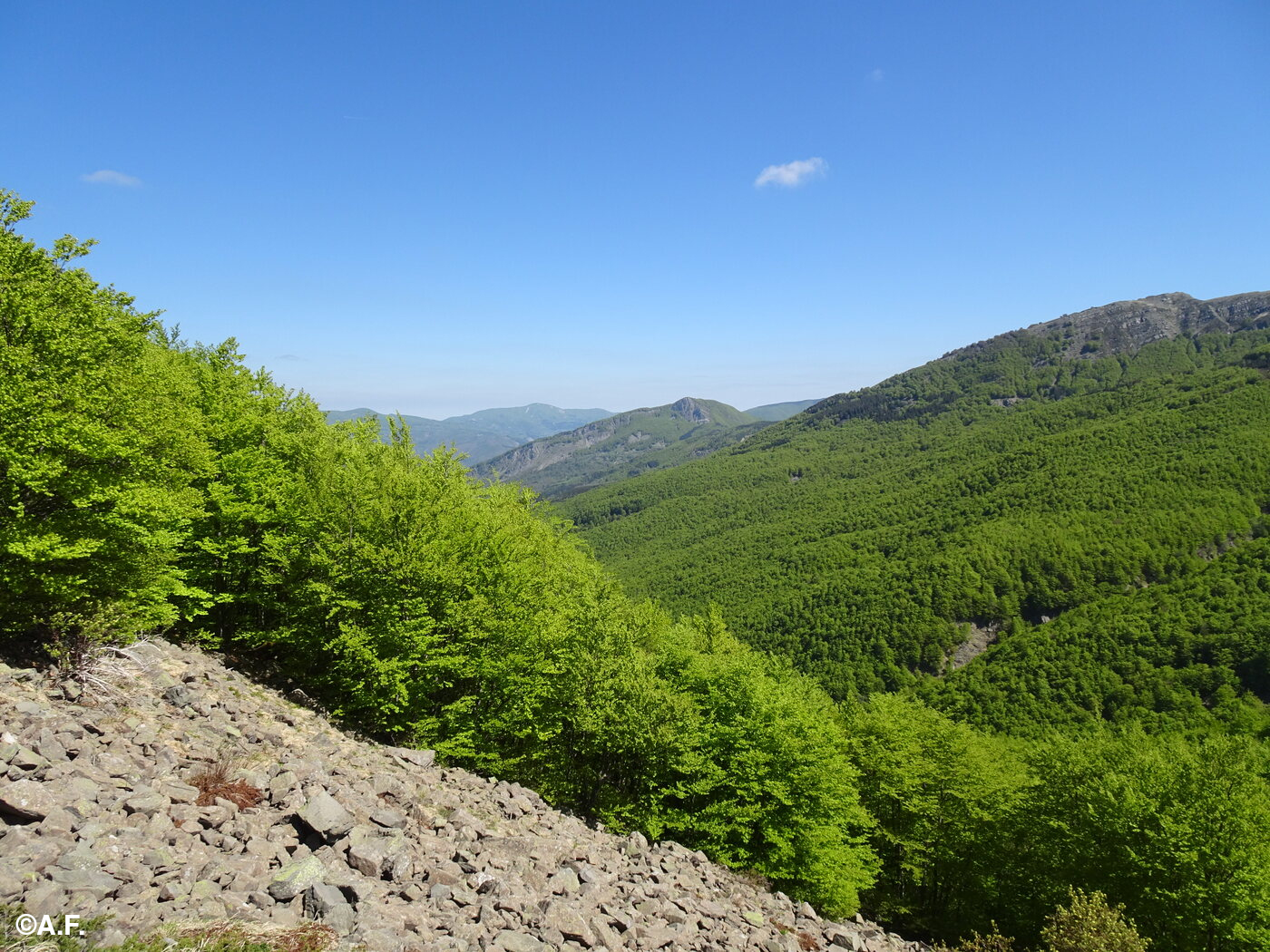 Scorcio del vallone delle Tagliole