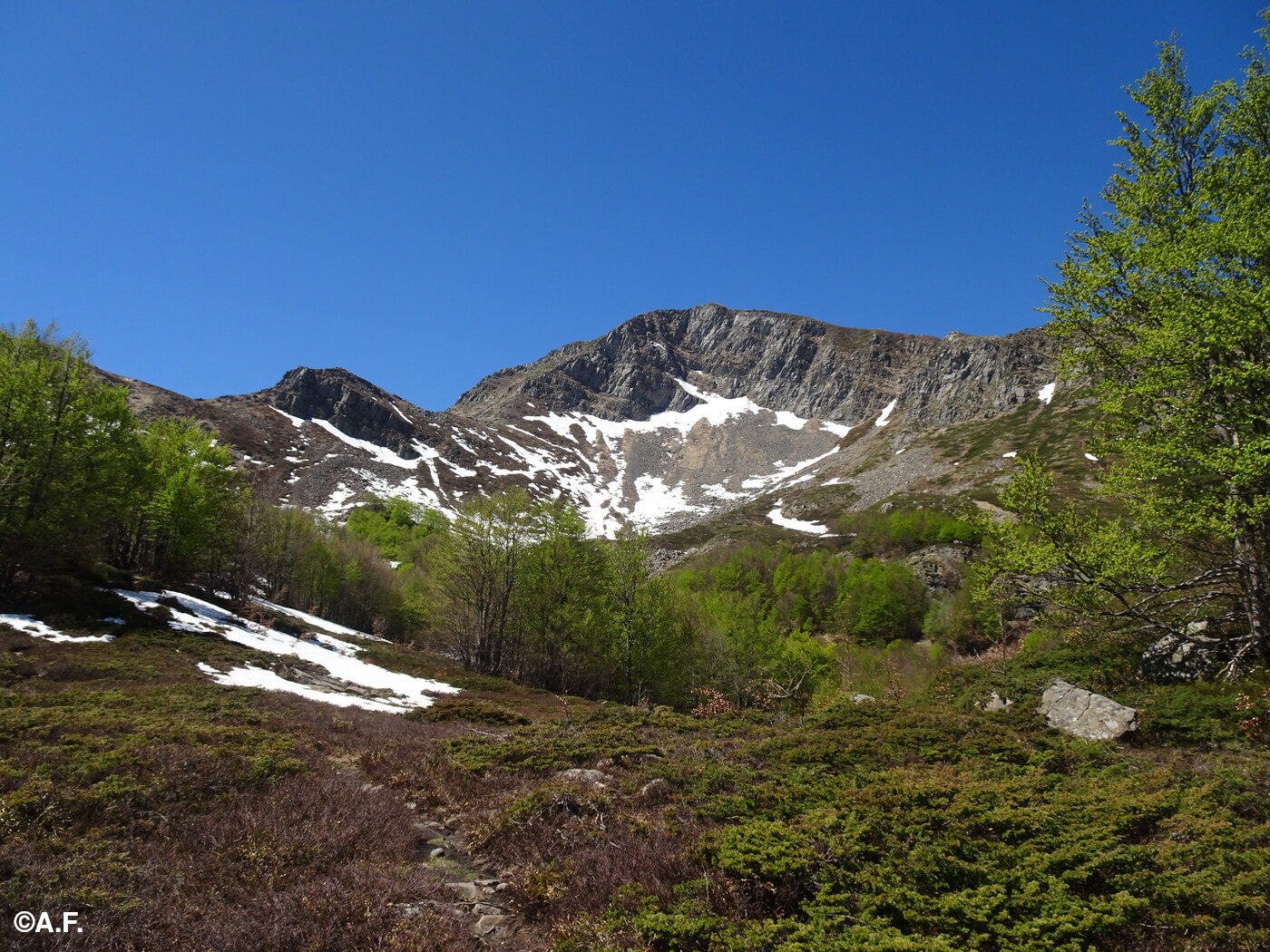 La parete nord-est del Monte Rondinaio