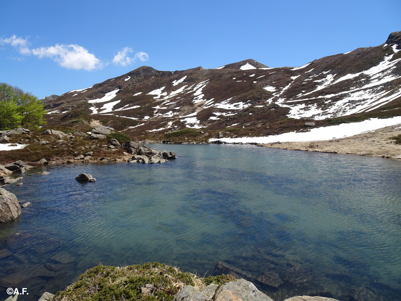 Il Lago Torbido