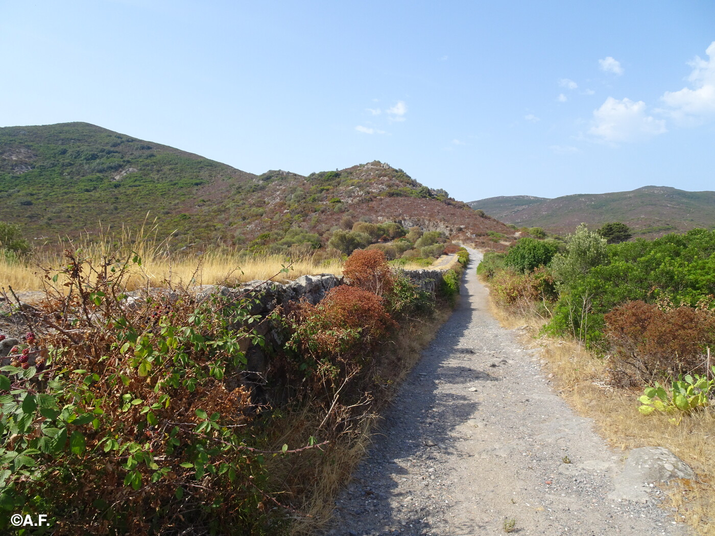 Tratto di strada verso il Piano