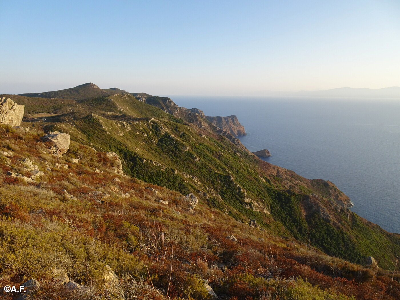 Il ripido versante ovest di Capraia, con la Corsica sulla destra